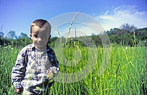 Boy in grass field