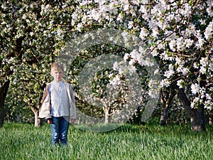 Boy on the grass near blooming apple trees in the garden