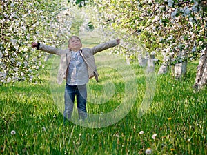 Boy on the grass near blooming apple trees in the garden