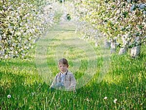 Boy on the grass near blooming apple trees in the garden