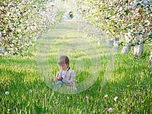 Boy on the grass near blooming apple trees in the garden