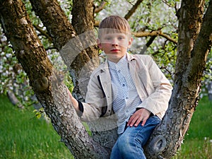 Boy on the grass near blooming apple trees in the garden