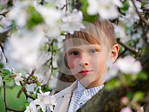 Boy on the grass near blooming apple trees in the garden