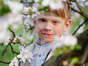 Boy on the grass near blooming apple trees in the garden