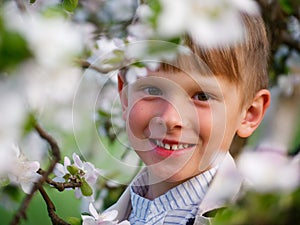 Boy on the grass near blooming apple trees in the garden