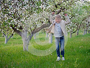 Boy on the grass near blooming apple trees in the garden