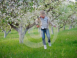 Boy on the grass near blooming apple trees in the garden