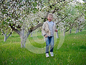 Boy on the grass near blooming apple trees in the garden