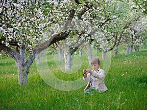 Boy on the grass near blooming apple trees in the garden