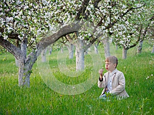 Boy on the grass near blooming apple trees in the garden