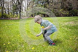 Boy in grass outside picking flowers