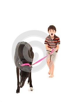 Boy with Greyhound over White