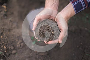 The boy has planted a young tree into the soil. Earth day. Male hands holding the earth.