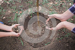 The boy has planted a young tree into the soil. Earth day. Male hands holding the earth.