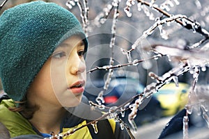 Boy have fun with Frozen in the ice tree branches