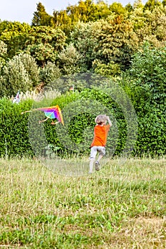 Boy having fun flying a kite in summer