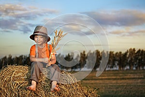 Boy in a haystack in the field