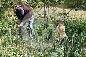 Boy Helping Grandpa In The Garden