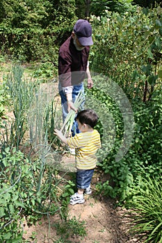 Boy Helping Grandpa In The Garden