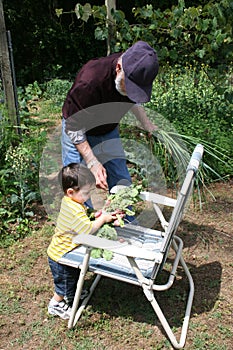 Boy Helping Grandpa In The Garden