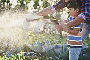 Boy helping watering vegetables in the garden