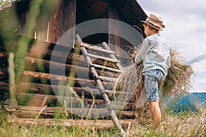 Boy helps put hay in the hayloft