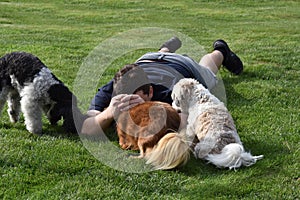 Boy and his three little dogs