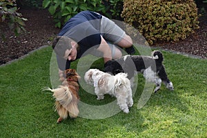 Boy and his three little dogs