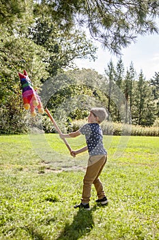 Boy hitting a pinata at outside birthday party