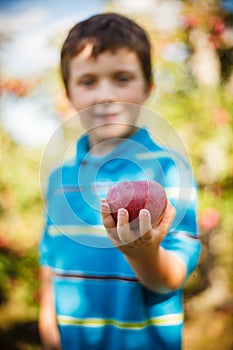 Boy holding an apple