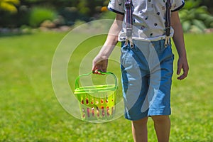 Boy holding basket with harvested tomatoes