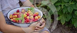 boy holding a bowl of freshly picked raspberries. Selective focus