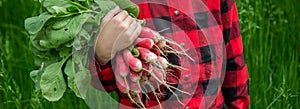 the boy is holding a bunch of freshly picked radishes