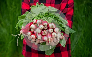 the boy is holding a bunch of freshly picked radishes