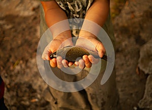 A boy holding a caught shiny fish in his palms