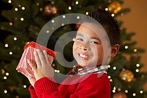 Boy Holding Christmas Present In Front Of Tree