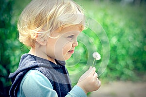 Boy holding dandelion