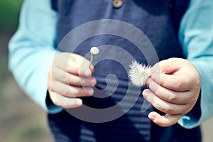 Boy holding dandelion