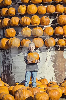 Ragazzo possesso zucca sul zucca malta 