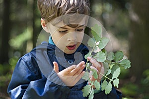 The boy is holding herbs