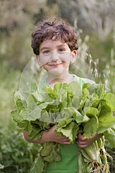Boy holding organic lettuce
