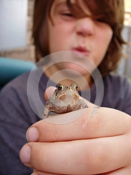 Boy holding out toad