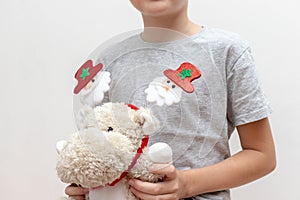 A boy holding a soft toy, teddy hippo with christmas holiday accessories, carnival costume with toy fir trees on white background