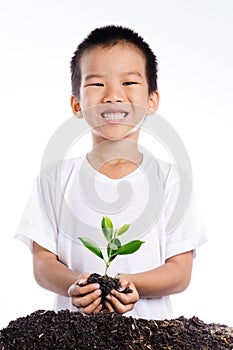 Boy holding young plant in hands above soil