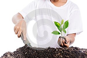 Boy holding young plant in hands above soil