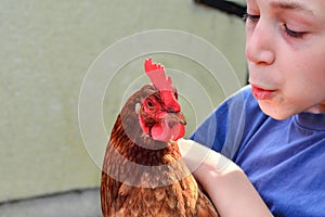 A boy holds a brown chicken in his hand and smiles and kisses her
