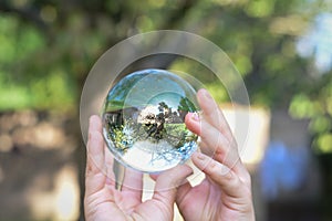 A boy holds a glass ball with reflection of a tree as an environmental conservation concept