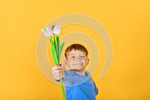 The boy holds in his hand a bouquet of tulips for congratulating women and girls on Women`s Day on March 8, a child with flowers