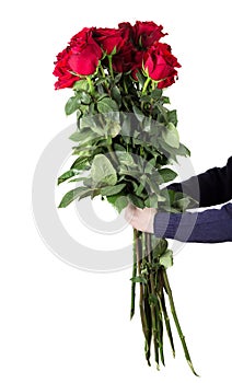 Boy holds a large bouquet of red roses with high stems and green leaves in his hands. Flowers for mum. Mother`s day concept