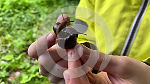 boy holds a snail close up